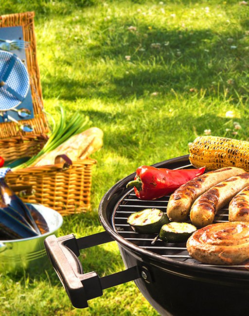 Barbecue picnic on a meadow